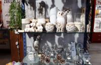 images/bilder-geschenke/bild5.jpg